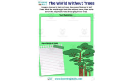 Trees Activity