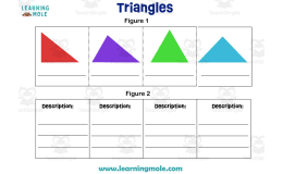 Triangles Sort Activity