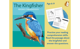 The Kingfisher: Practise Close Reading Comprehension Skills (6-9 years)