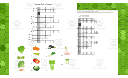 Vegetables in French Crossword Puzzle - Nomme les Légumes