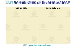 Vertebrates or Invertebrates Activity