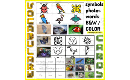 Vocabulary Match to Sample Memory Boards AIR ANIMALS
