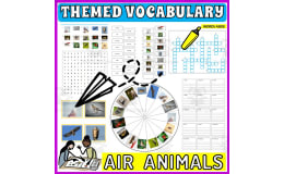 Vocabulary with Flash Cards | Crossword Wordsearch Anagram AIR ANIMALS