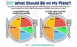 What Should Be on My Plate Activity