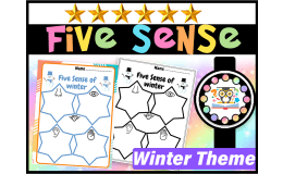 WInter Five Senses Worksheets  Activities