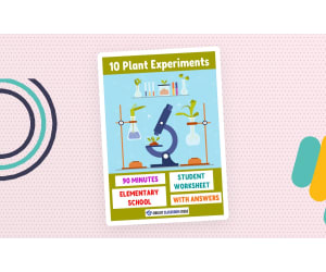 10 Plant Experiments for Elementary School