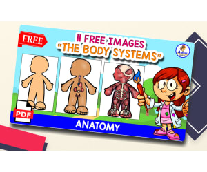 11 BODY SYSTEMS | CUT AND PASTE