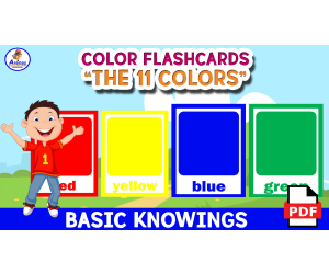 11 COLOR FLASHCARDS - With Names
