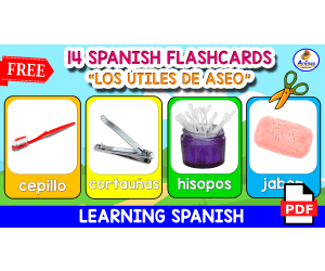 14 SPANISH FLASHCARDS | "Los útiles de aseo"