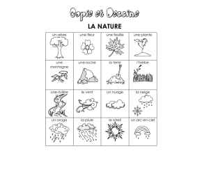 16 Copy and Draw Spelling Vocabulary Worksheets - Nature ( French Version )