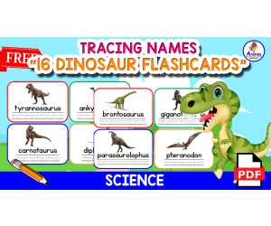16 TRACING NAMES FLASHCARDS | "The Dinosaurs"