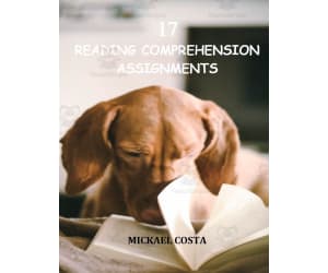 17  reading comprehension assignments