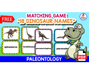 18 NAMES OF DINOSAURS | Free Flashcards