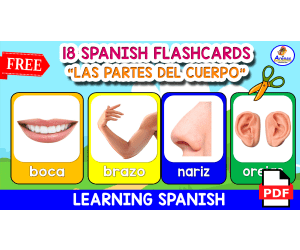 18 SPANISH FLASHCARDS | "Las partes del cuerpo"