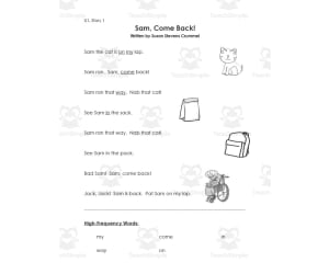 1st Grade Unit 1 Reading Street Stories