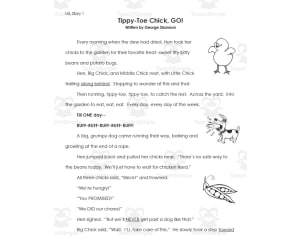 1st Grade Unit 5 Reading Street Stories Set