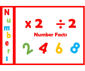 2 Times Table Multiplication Flashcards