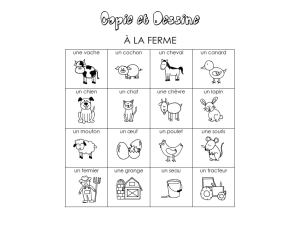 20 Copy and Draw Spelling Vocabulary Worksheets - Classroom Theme ( French Version )