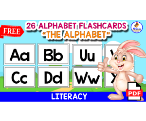 26 ALPHABET FLASHCARDS | LOWER AND UPPER CASE