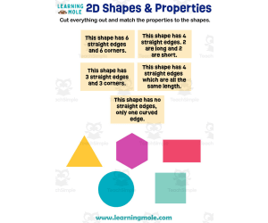 2D Shapes & Properties Activity