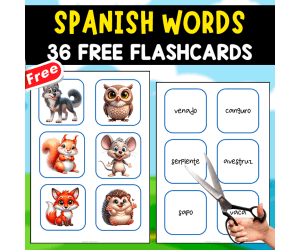 36 SPANISH FLASHCARDS | VOCABULARY
