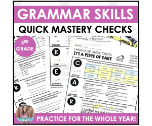 3rd Grade Language Quick Mastery Checks