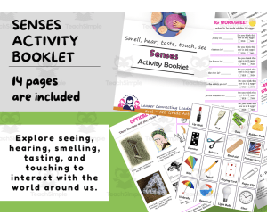 5 Senses Activity Booklet, printable for kids, Tasting, hearing, smelling, touching, seeing, Activity printable, Girl Scout Badge Resource
