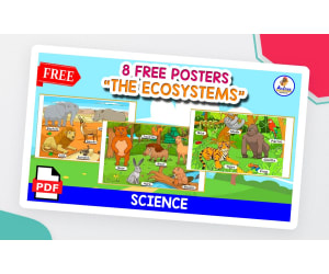 8 FREE POSTERS | THE ECOSYSTEMS