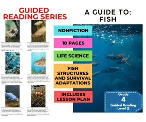 A Guide to Fish: Guided Reading Level Q with Lesson Plan
