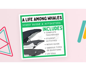 A Life Among Whales (2007): Complete Video Guide & Activities