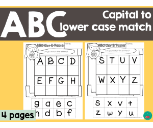 ABC Capital to Lower Case Match