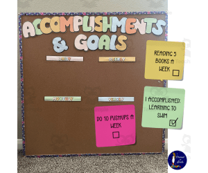 Accomplishments and Goals Bulletin Board Cork Board