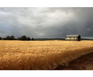 Adding A Rainbow Photoshop Activity