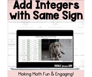 Adding Integers - Same Sign - Common Signs - Digital Self-Checking Activity