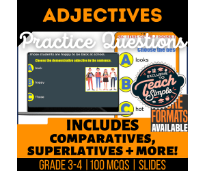 Adjectives Practice Questions - Grade 3-4 Grammar (Google Slides)
