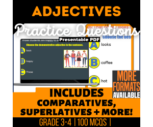 Adjectives Practice Questions - Grade 3-4 Grammar (Presentable PDF)