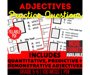 Adjectives Practice Questions - Grammar Grade 5-6 (Fillable PDF)