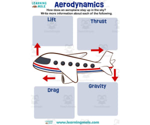 Aerodynamics Activity