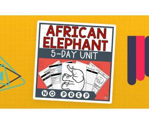 African Elephant Unit Study (Endangered Animals Lesson Plan, Videos, Activities)