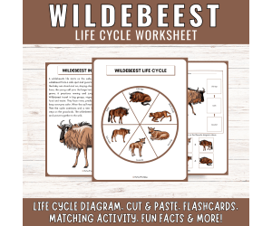 African Wildebeest Life Cycle: Grassland Animal Science Unit Study