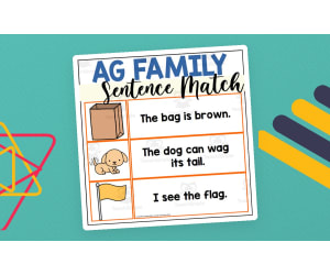 AG Word Family Sentence Matching