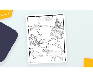 Alaska State Symbols Clip Art