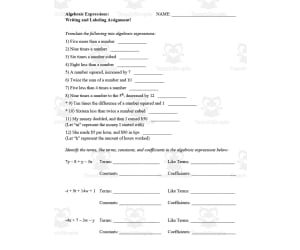 Algebraic Expressions (Writing and Labeling) Guided Notes + Homework Set