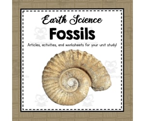All About Fossils | Earth Science Unit