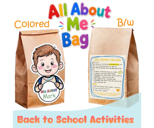 All About Me Bag Activity | Get to Know You Activity | Secret Mission