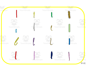 Alphabet Visual Cards - Letter L Mat