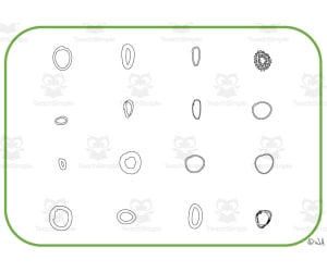 Alphabet Visual Cards - Letter O Mats