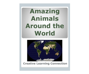 Amazing Animals Around The World