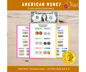 American Money Flashcard U.S Coin Identification Flashcards