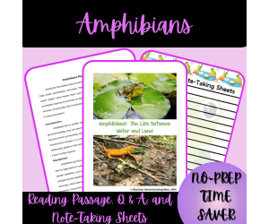 Amphibians Reading Passage, Q & A, and Note-Taking Sheets